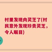 村里发现肉灵芝了(村民意外发现珍贵灵芝，令人瞩目)