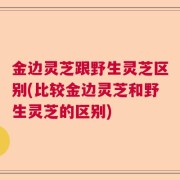 金边灵芝跟野生灵芝区别(比较金边灵芝和野生灵芝的区别)