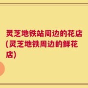 灵芝地铁站周边的花店(灵芝地铁周边的鲜花店)