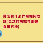灵芝有什么作用如何吃好(灵芝的功效与正确食用方法)