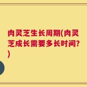 肉灵芝生长周期(肉灵芝成长需要多长时间？)