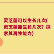 灵芝菌可以生长几次(灵芝菌能生长几次？探索其再生能力)