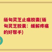 缅甸灵芝止痛胶囊(缅甸灵芝胶囊：缓解疼痛的好帮手)