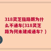 318灵芝指路朗为什么不通车(318灵芝路为何未建成通车？)