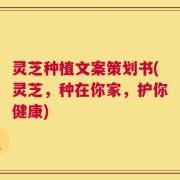 灵芝种植文案策划书(灵芝，种在你家，护你健康)