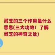 灵芝的三个作用是什么意思(三大功效！了解灵芝的神奇之处)