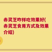 赤灵芝咋样吃效果好(赤灵芝食用方式及效果介绍)