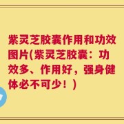 紫灵芝胶囊作用和功效图片(紫灵芝胶囊：功效多、作用好，强身健体必不可少！)
