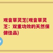 观音草灵芝(观音草灵芝：双重功效的天然保健佳品)