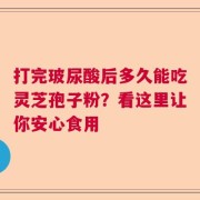 打完玻尿酸后多久能吃灵芝孢子粉？看这里让你安心食用