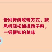 告别传统收粉方式，鼓风机轻松捕捉孢子粉，一尝便知的美味