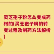 灵芝孢子粉怎么变成药材的(灵芝孢子粉的转变过程及制药方法解析)