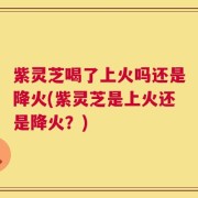 紫灵芝喝了上火吗还是降火(紫灵芝是上火还是降火？)