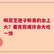 喝灵芝孢子粉真的会上火？看完你或许会大吃一惊