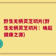 野生无柄灵芝切片(野生无柄灵芝切片：唤起健康之源)