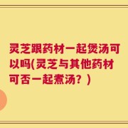 灵芝跟药材一起煲汤可以吗(灵芝与其他药材可否一起煮汤？)