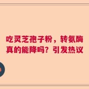 吃灵芝孢子粉，转氨酶真的能降吗？引发热议