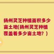 扬州灵芝种植面积多少亩土地(扬州灵芝种植覆盖着多少亩土地？)