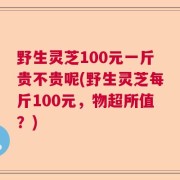 野生灵芝100元一斤贵不贵呢(野生灵芝每斤100元,物超所值?)