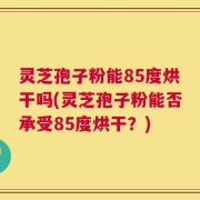 灵芝孢子粉能85度烘干吗(灵芝孢子粉能否承受85度烘干？)