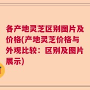 各产地灵芝区别图片及价格(产地灵芝价格与外观比较：区别及图片展示)