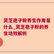 灵芝孢子粉养生作用是什么_灵芝孢子粉的养生功效解析