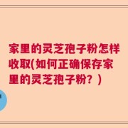 家里的灵芝孢子粉怎样收取(如何正确保存家里的灵芝孢子粉？)