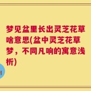 梦见盆里长出灵芝花草啥意思(盆中灵芝花草梦，不同凡响的寓意浅析)