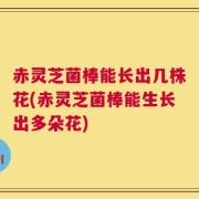 赤灵芝菌棒能长出几株花(赤灵芝菌棒能生长出多朵花)