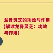 龙骨灵芝的功效与作用(解读龙骨灵芝：功效与作用)