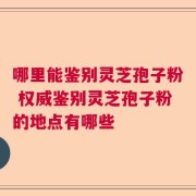 哪里能鉴别灵芝孢子粉 权威鉴别灵芝孢子粉的地点有哪些