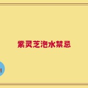 紫灵芝泡水禁忌