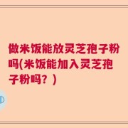 做米饭能放灵芝孢子粉吗(米饭能加入灵芝孢子粉吗？)