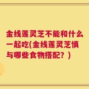 金线莲灵芝不能和什么一起吃(金线莲灵芝慎与哪些食物搭配？)