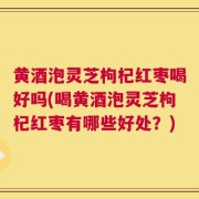 黄酒泡灵芝枸杞红枣喝好吗(喝黄酒泡灵芝枸杞红枣有哪些好处？)
