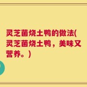 灵芝菌烧土鸭的做法(灵芝菌烧土鸭，美味又营养。)