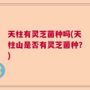 天柱有灵芝菌种吗(天柱山是否有灵芝菌种？)