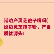 延边产灵芝孢子粉吗(延边灵芝孢子粉，产自质优源头！