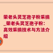 荣老头灵芝孢子粉采摘_荣老头灵芝孢子粉:高效采摘技术与方法介绍