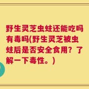 野生灵芝虫蛀还能吃吗有毒吗(野生灵芝被虫蛀后是否安全食用？了解一下毒性。)