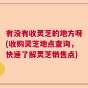 有没有收灵芝的地方呀(收购灵芝地点查询，快速了解灵芝销售点)