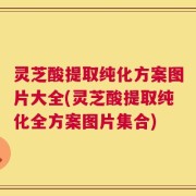 灵芝酸提取纯化方案图片大全(灵芝酸提取纯化全方案图片集合)