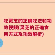 吃灵芝的正确吃法和功效视频(灵芝的正确食用方式及功效解析)