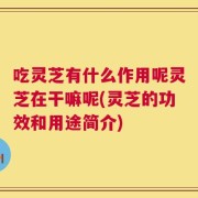 吃灵芝有什么作用呢灵芝在干嘛呢(灵芝的功效和用途简介)