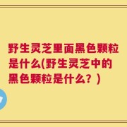 野生灵芝里面黑色颗粒是什么(野生灵芝中的黑色颗粒是什么？)