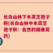 长白山林下木灵芝孢子粉(长白山林中木灵芝孢子粉:自然的健康灵药)