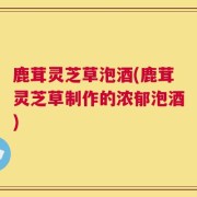鹿茸灵芝草泡酒(鹿茸灵芝草制作的浓郁泡酒)