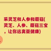 采灵芝和人参和蘑菇(灵芝、人参、蘑菇三宝，让你远离亚健康)