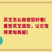 灵芝怎么做造型好看(重塑灵芝造型，让它变得更加美丽)