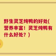 野生灵芝炖鸭的好处(营养丰富！灵芝炖鸭有什么好处？)